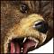 Bearcatcher's avatar