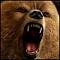 bearking's avatar